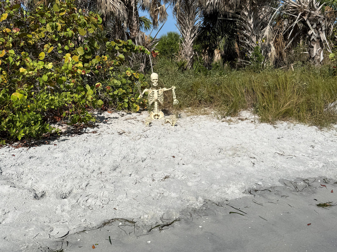 Stump Pass Beach State Park-恩格尔伍德必去景点