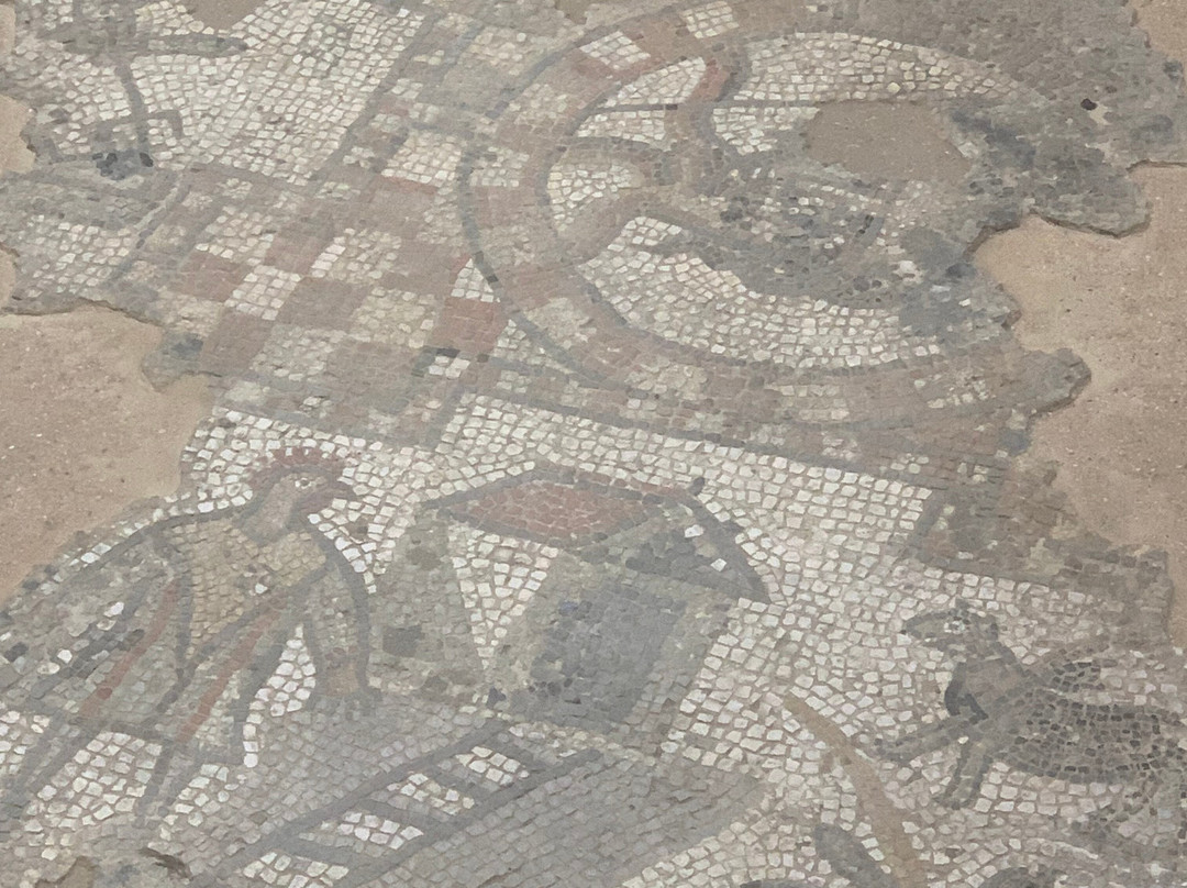 Brading Roman Villa-Brading必去景点