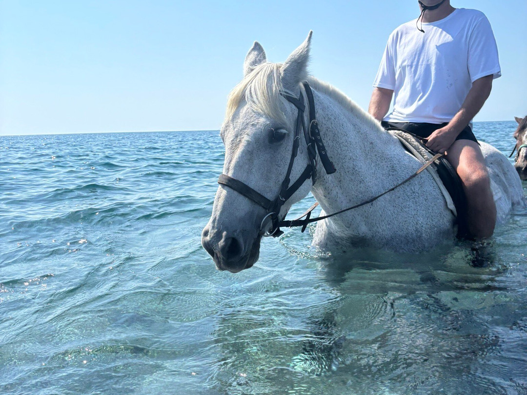 Rocking Horse Ranch-Gennadi必去景点