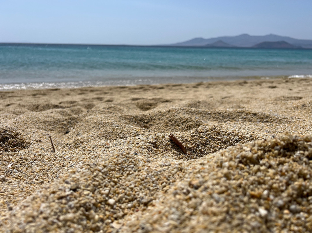 Agios Prokopios Beach-Agios Prokopios必去景点