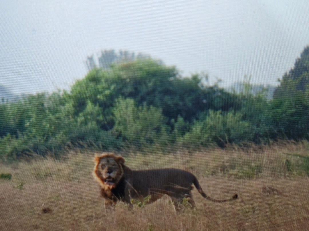 Nkuringo Safaris-布恩迪难以穿越的国家公园必去景点