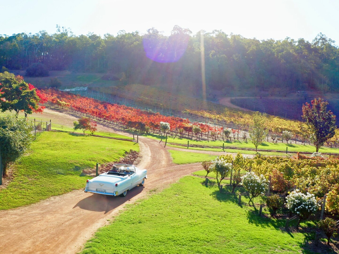 Myattsfield Vineyard-Carmel必去景点