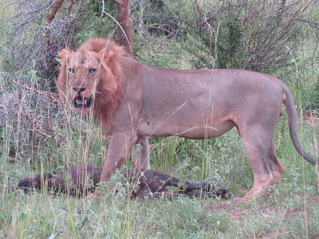 Emerald of Africa Safaris-布恩迪难以穿越的国家公园必去景点