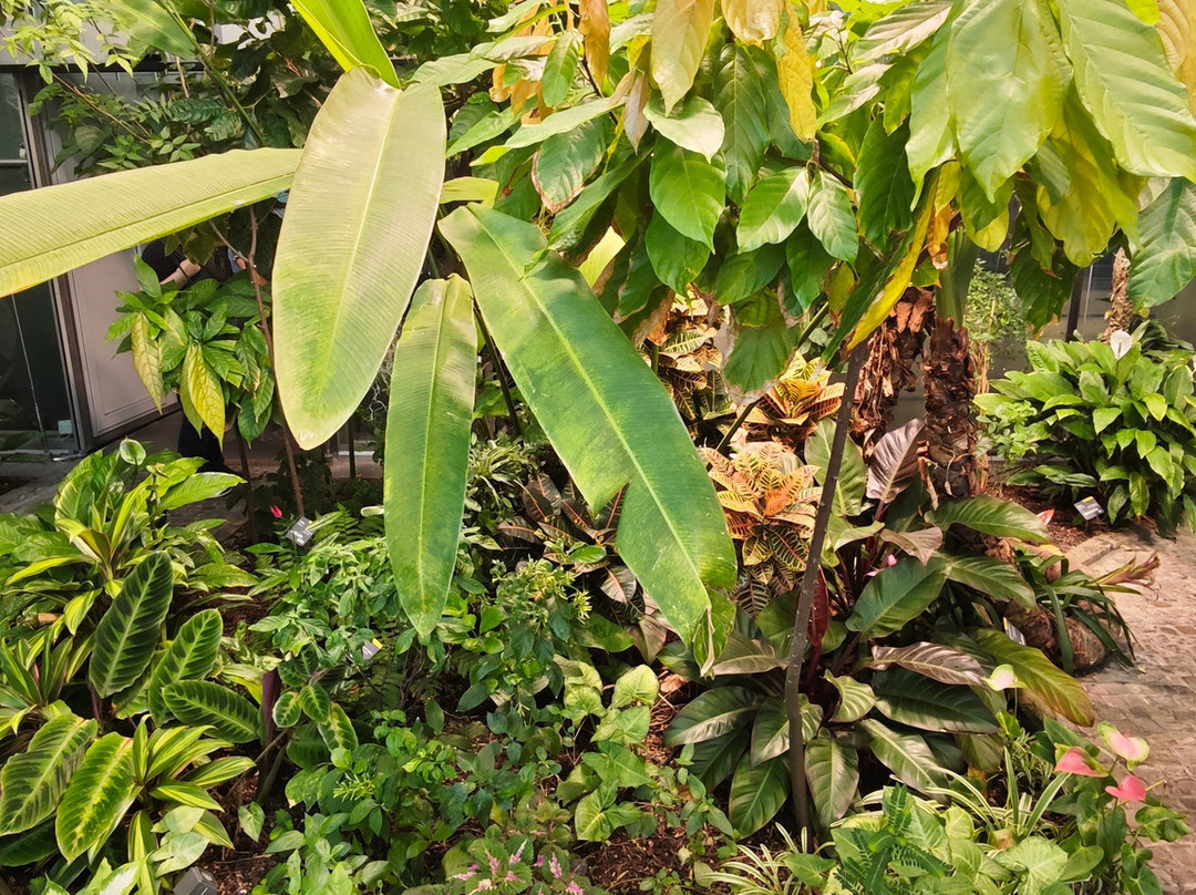 巧克力博物馆-科隆必去景点