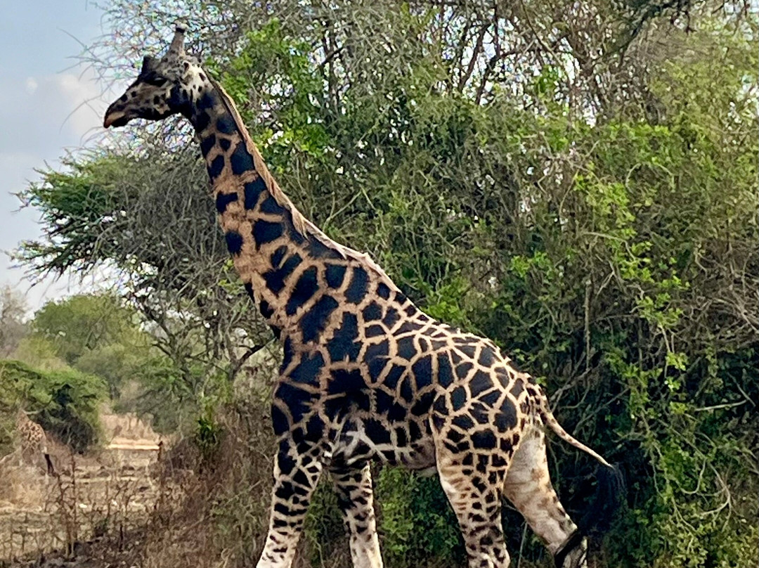 Grassrootz Adventures Uganda-坎帕拉必去景点