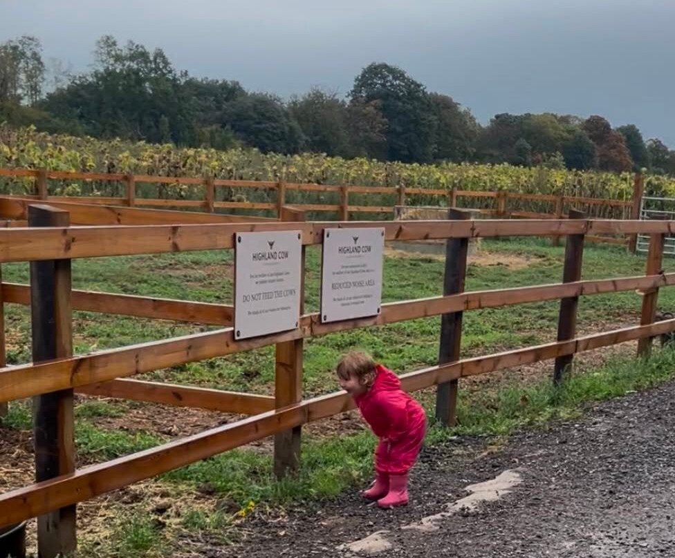 Quex Adventure Farm Park-Birchington必去景点
