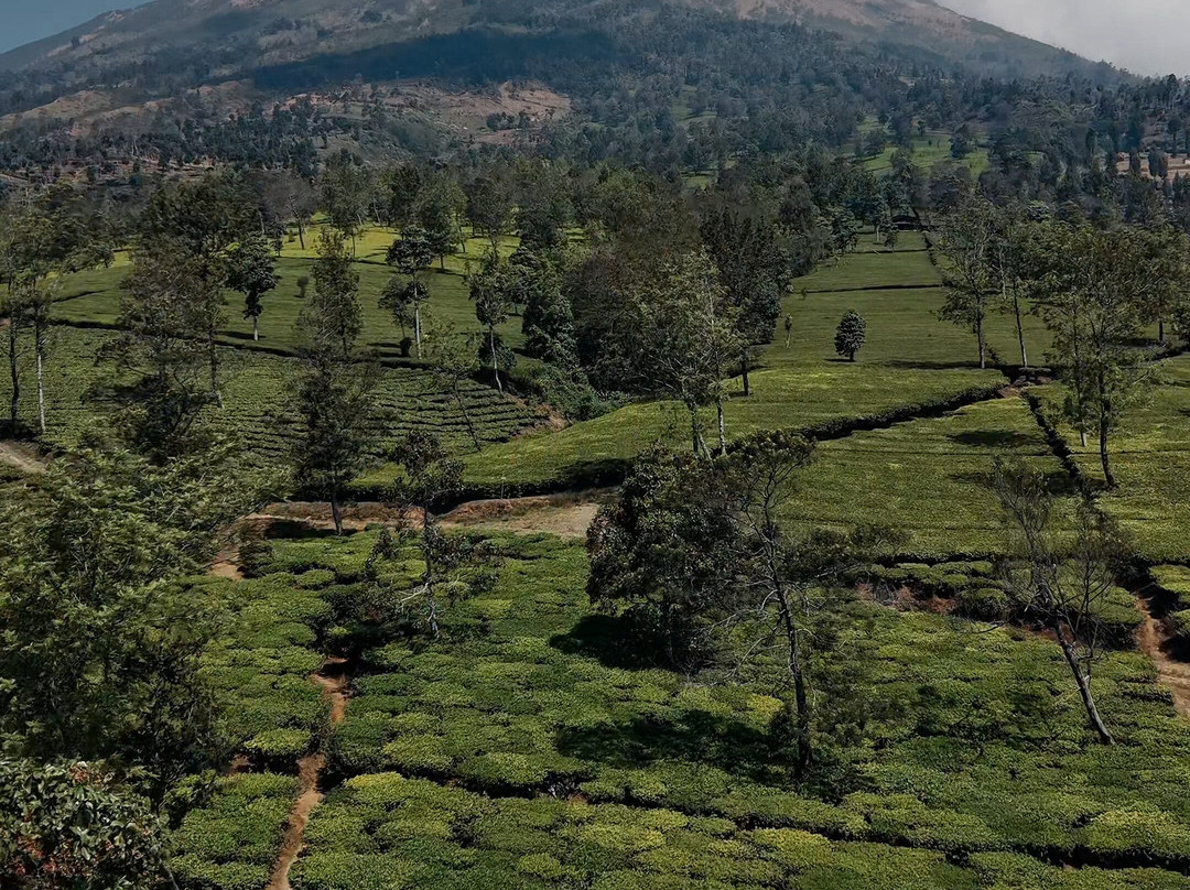 Jogja Explore Tours-日惹必去景点