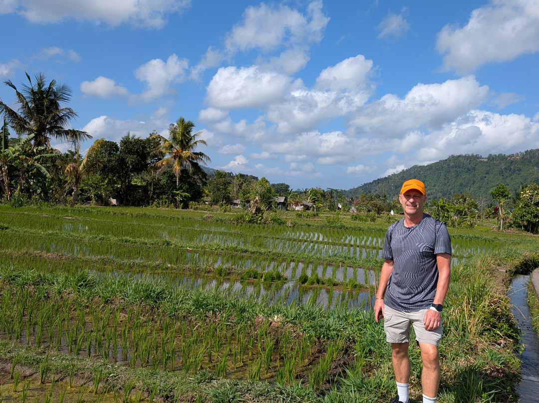 Suweca Bali Tour-南湾必去景点
