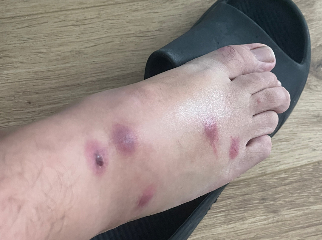 宜必思快捷波蒂斯黑德港口酒店主图