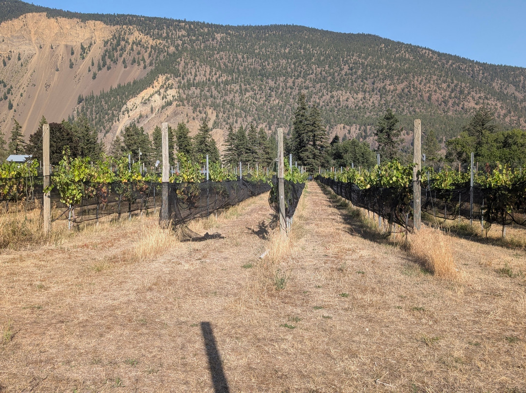 Cliff and Gorge Vineyards-Lillooet必去景点