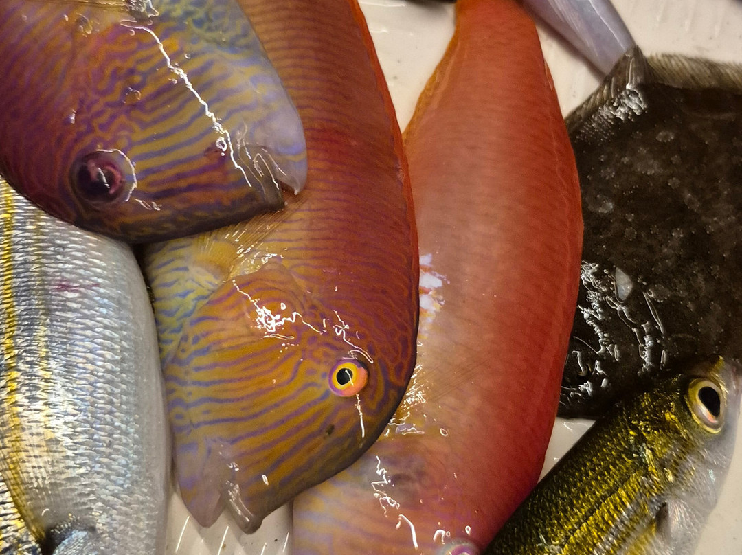 Eva Fishing-帕诺尔莫斯必去景点