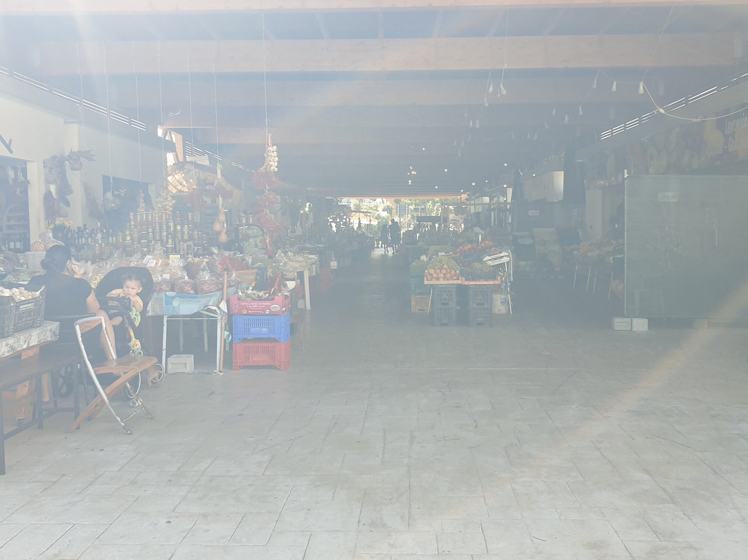 Mercato di Vieste-维耶斯泰必去景点