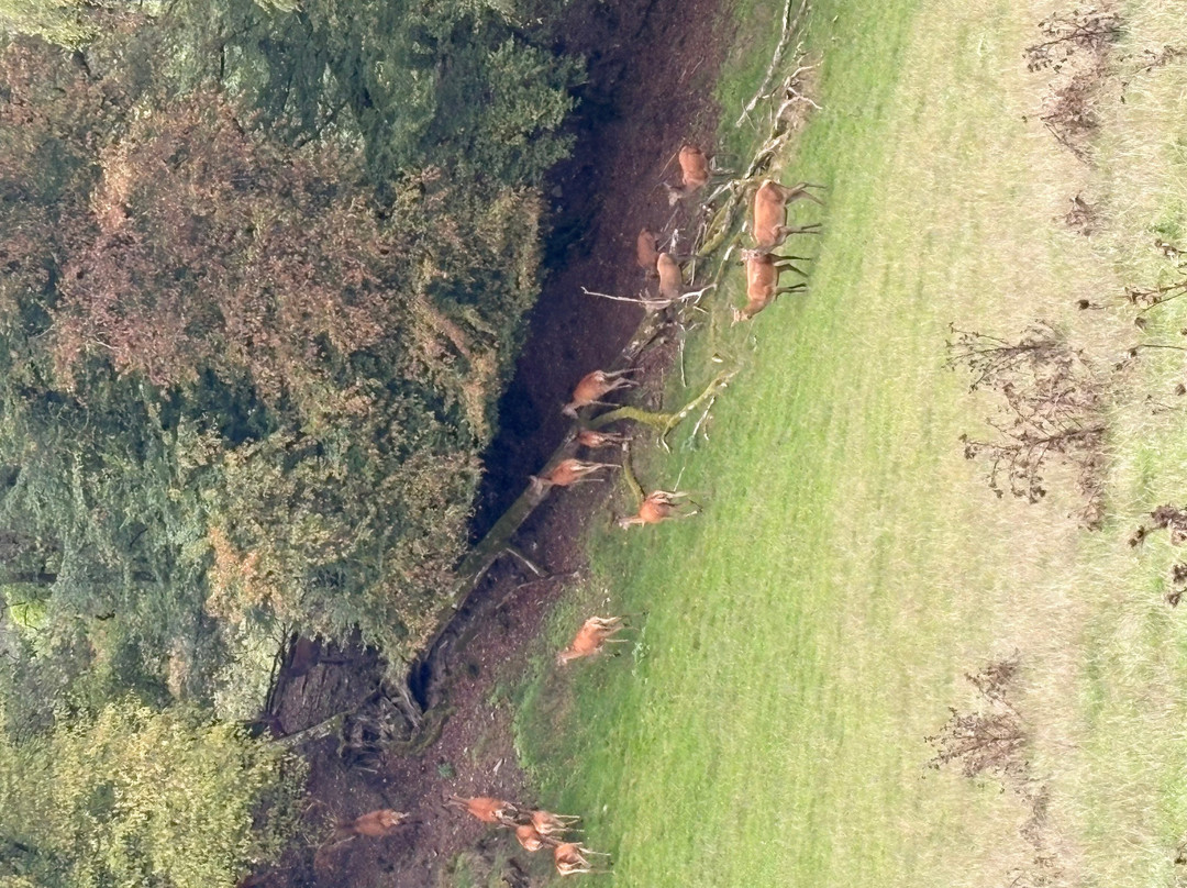 Wild- und Freizeitpark Westerwald-Gackenbach必去景点