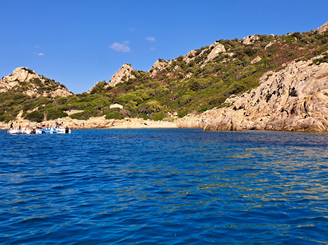 Discovery Diving Sardegna-Puntaldia必去景点