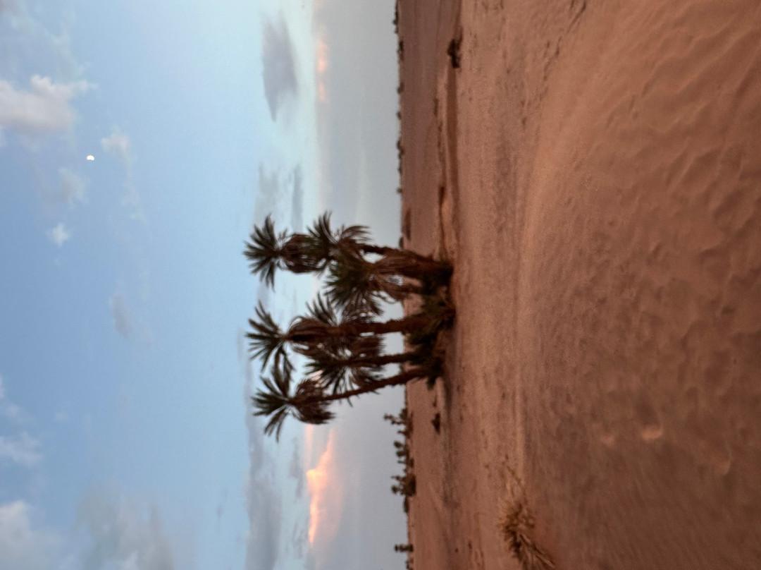 Adventures Desert-迈哈米德必去景点