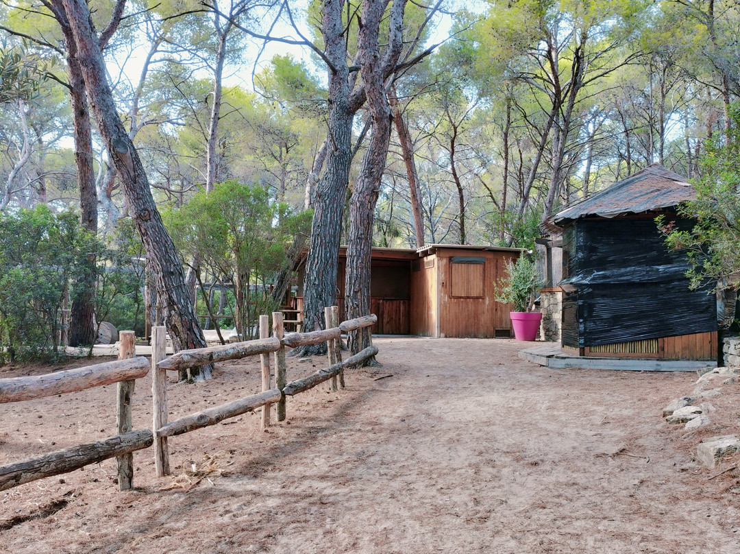 Plage de Saleccia-Santo-Pietro-di-Tenda必去景点