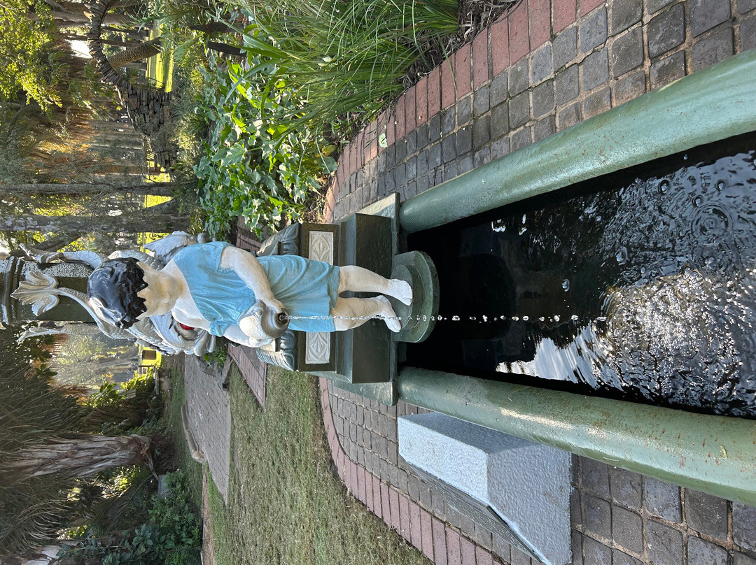 Durban Botanic Gardens-德班必去景点