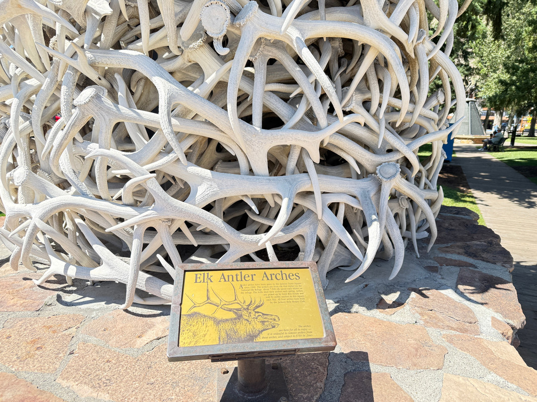 Antler Arches of Jackson-杰克逊必去景点
