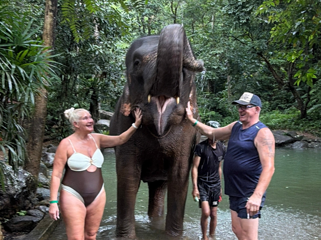 Phang Nga Elephant Park-攀牙必去景点
