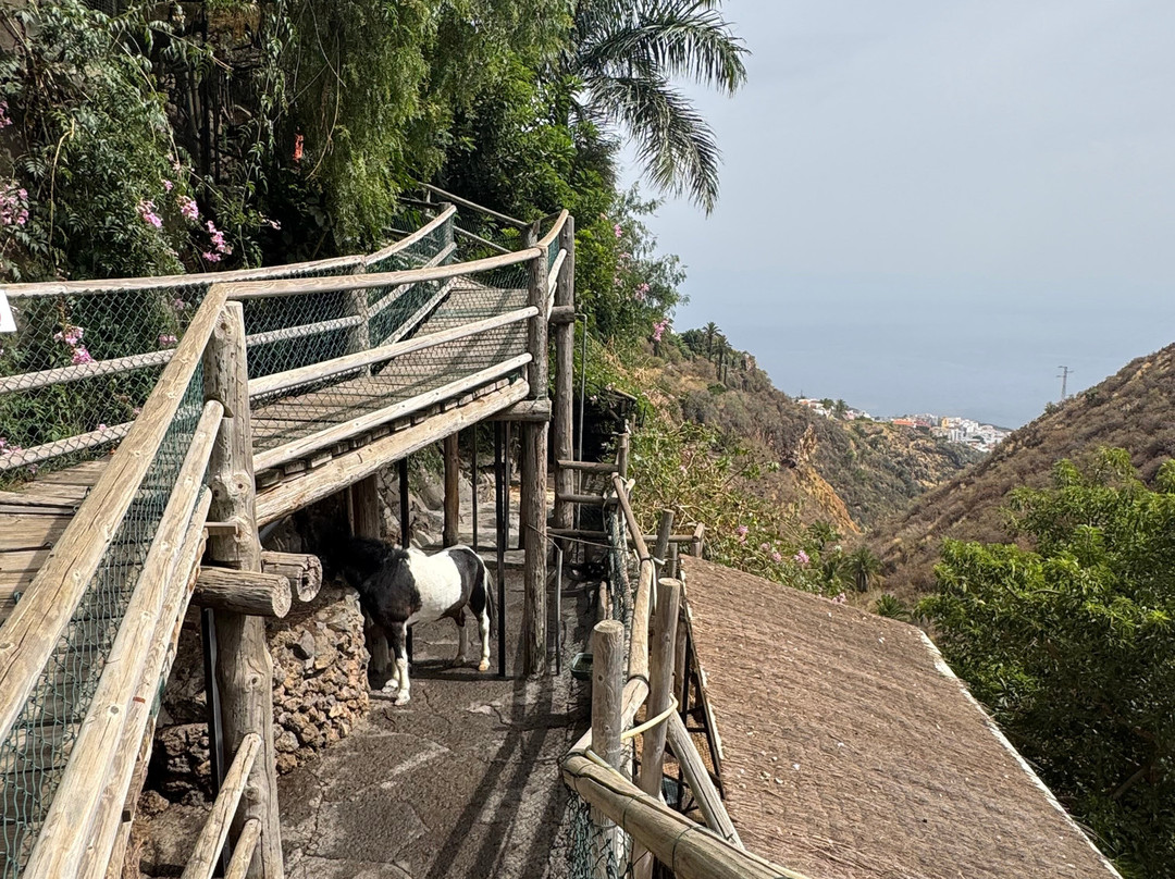 Maroparque Isla de La Palma-Brena Alta必去景点