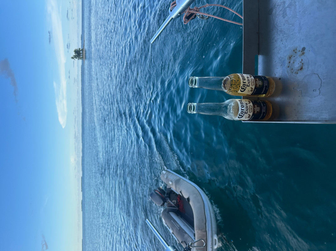 Catamaran Adventures San Blas-埃尔波韦尼尔必去景点