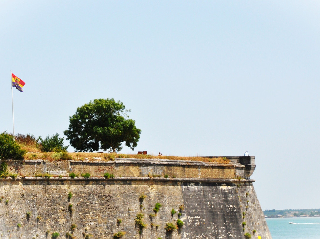 Citadelle du Chateau d'Oleron-Le Chateau d'Oleron必去景点