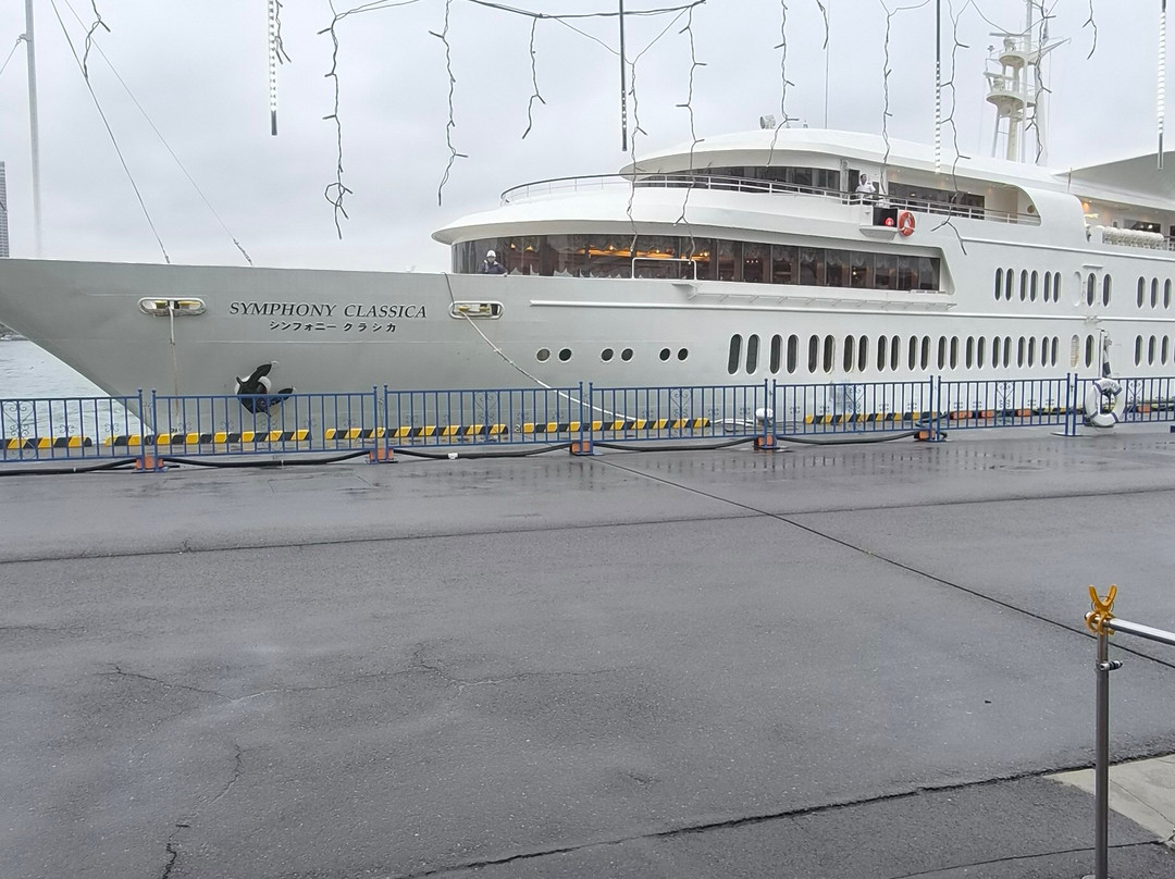 Symphony Cruise-港区必去景点