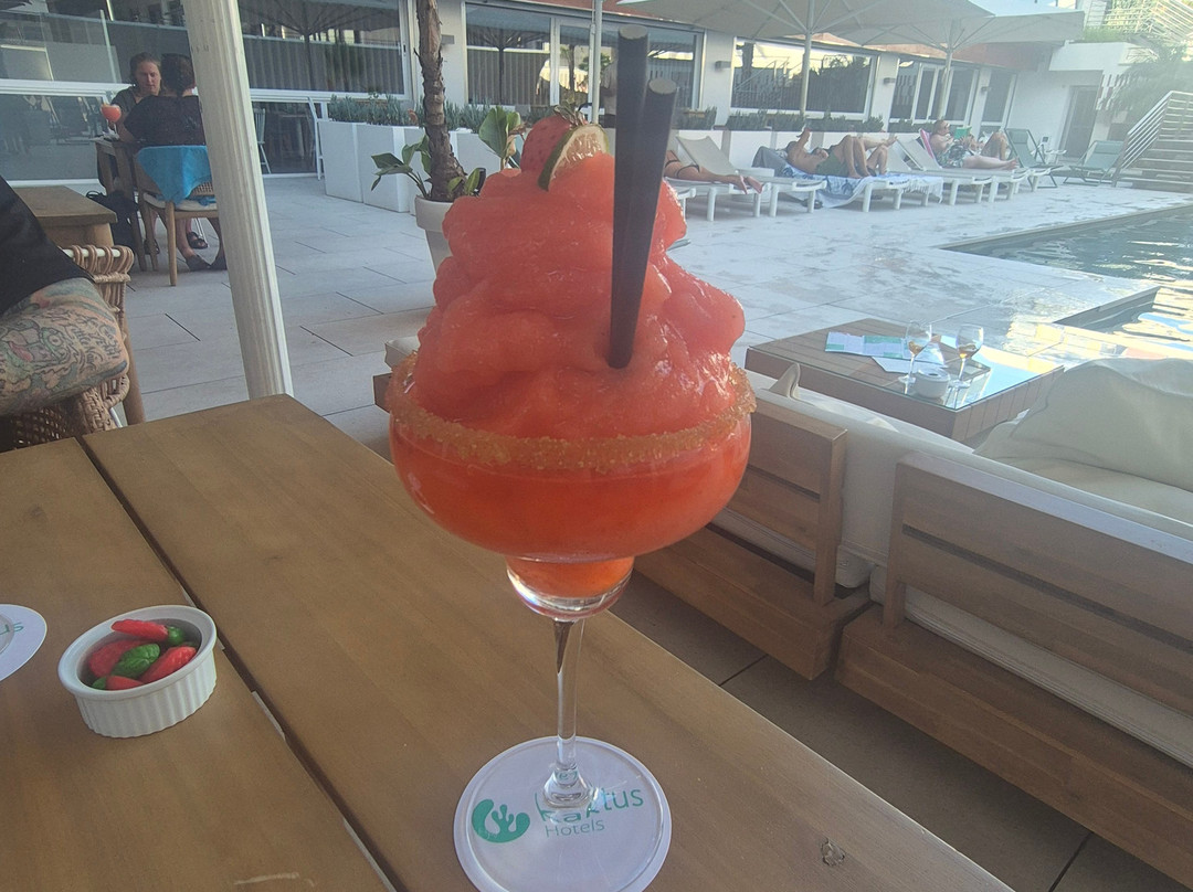 普拉亚仙人掌酒店（推荐成人）主图