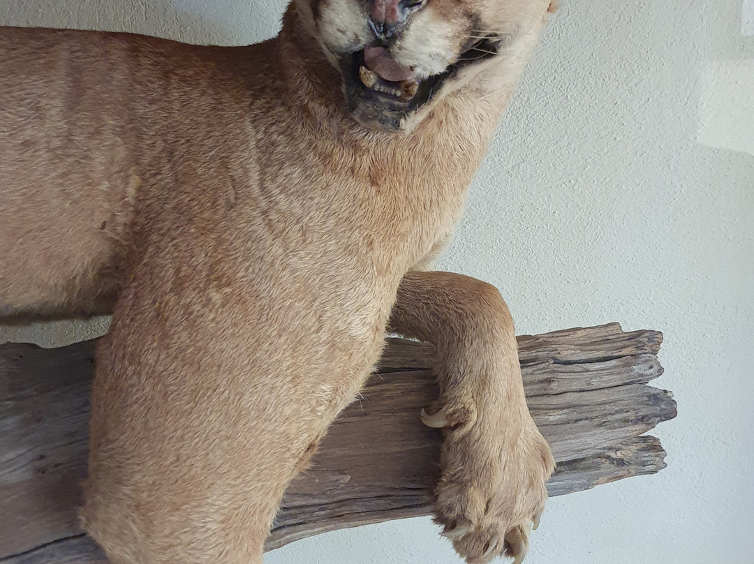 Museu de Biologia Prof. Mello Leitão-Santa Teresa必去景点