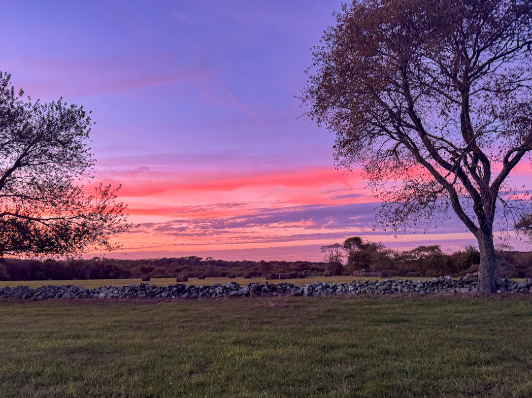 Sakonnet Vineyard-Little Compton必去景点