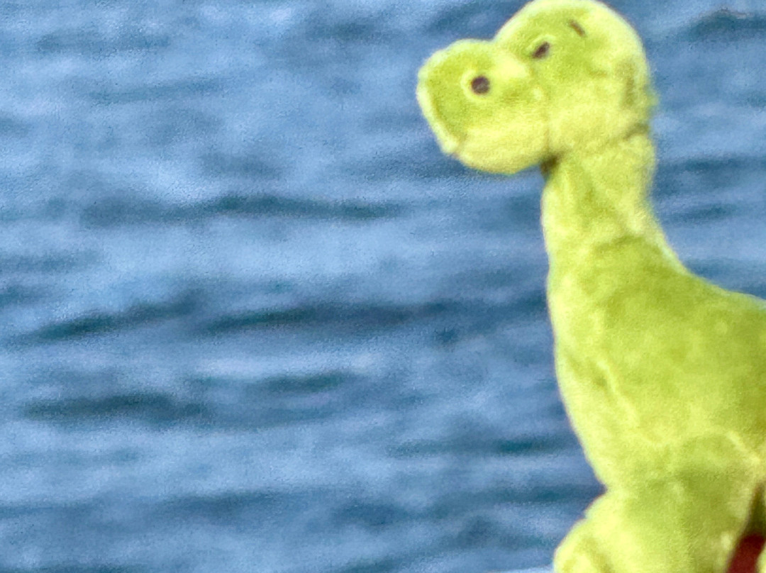 Loch Ness Cruises-德拉姆纳德罗希特必去景点