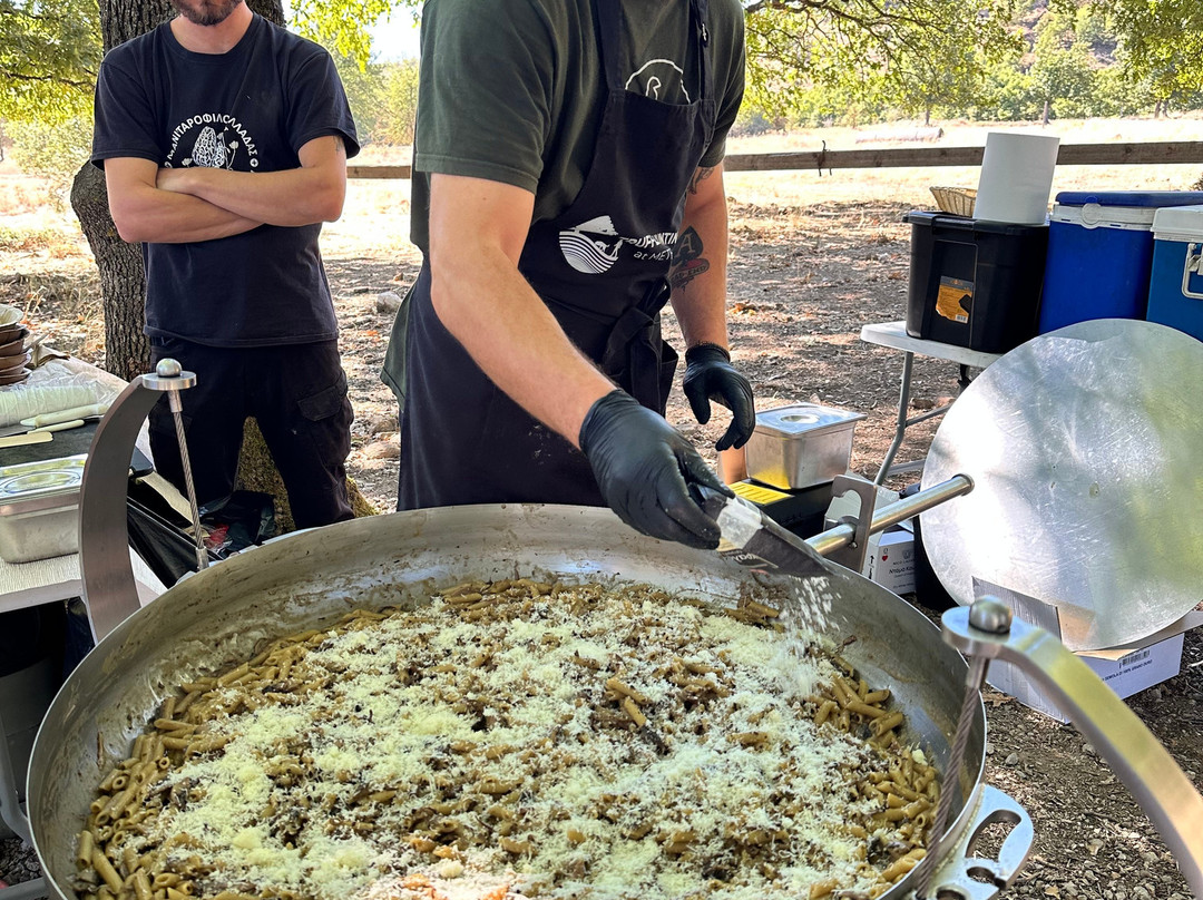 Truffle Hunting-卡兰巴卡必去景点