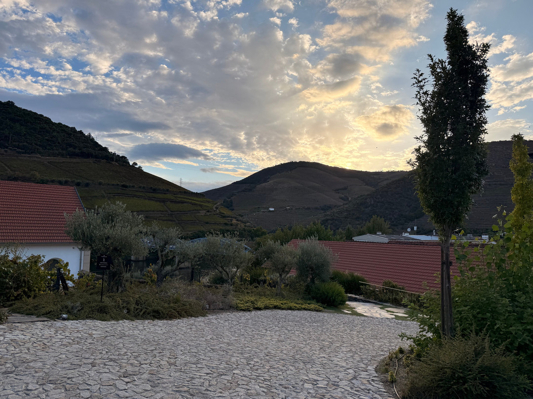 Quinta do Bomfim-Pinhao必去景点