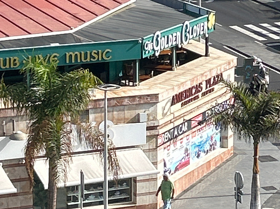 The Golden Glover Irish Pub