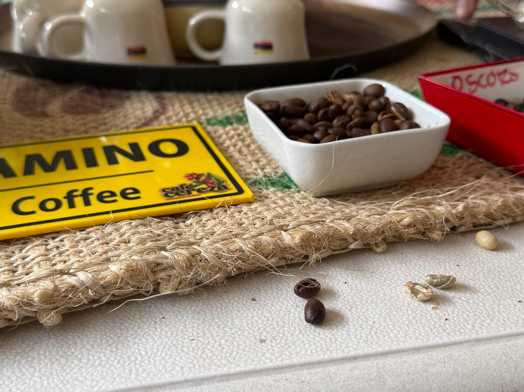 Finca Cafetera La Leona-麦德林必去景点
