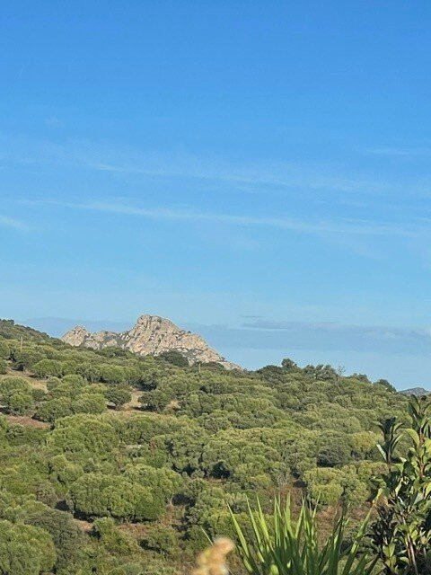 Saleccia Off Road-Saint Florent必去景点