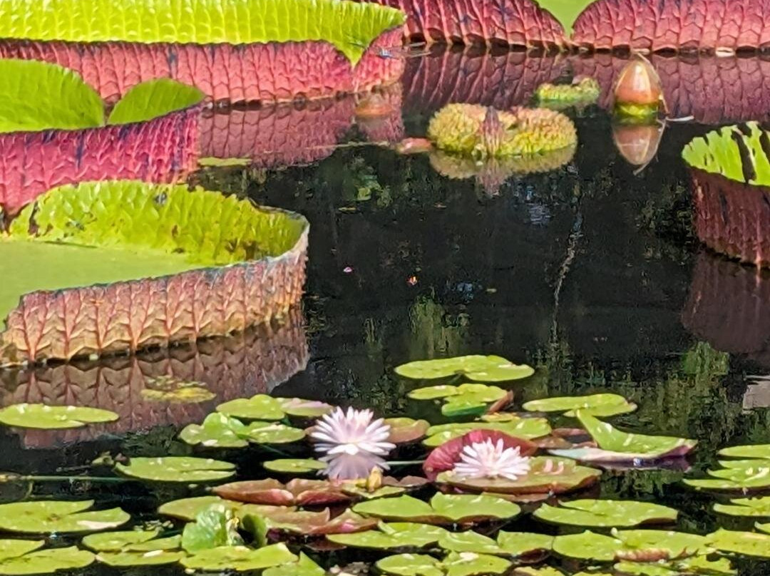 Huntsville Botanical Garden-亨茨维尔必去景点