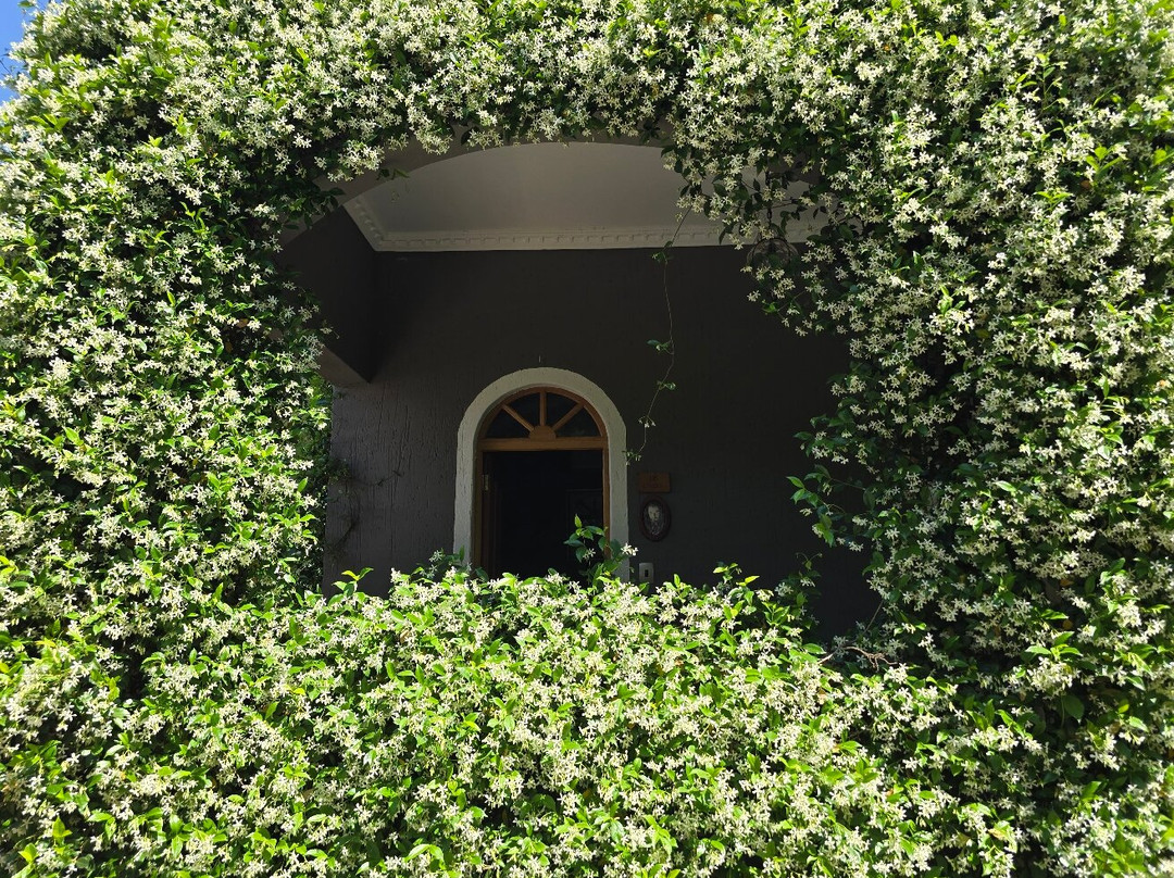 布隆方丹酒店住宿-Hobbit Boutique Hotel