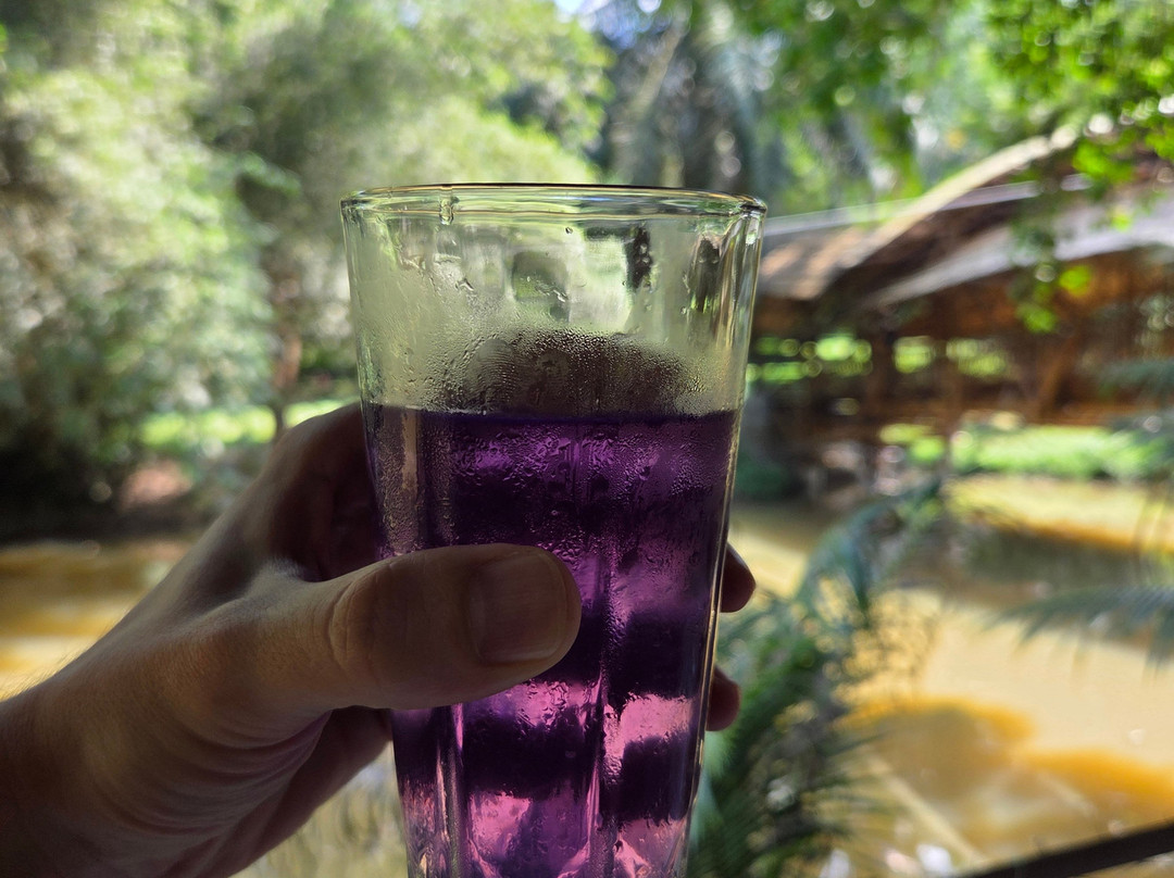 Langkawi Cooking School at Buluh & Tebing Organic Farm-兰卡威必去景点