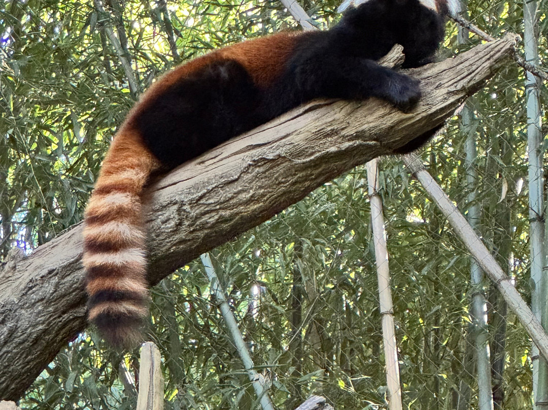 Nashville Zoo-纳什维尔必去景点