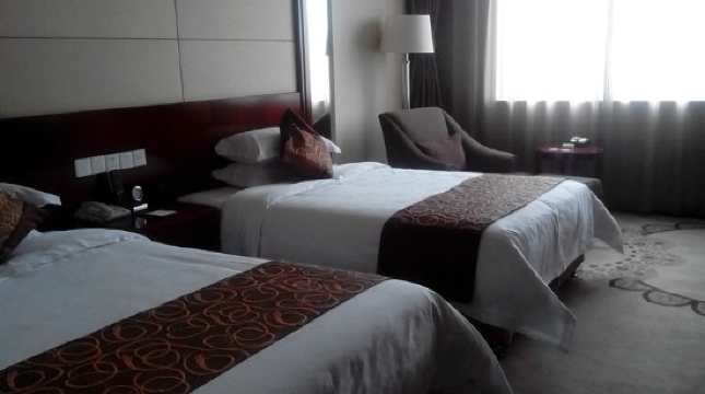 高平澳林大酒店-客卧