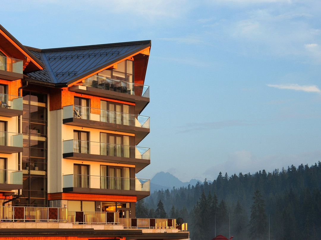 Lesser Poland Province酒店住宿-Hotel BUKOVINA