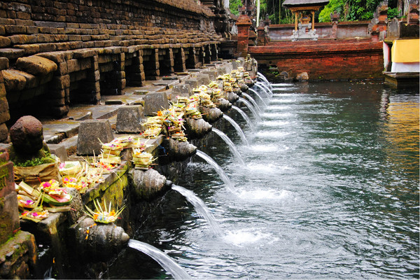 金塔马尼旅游景点-Kintamani Organic Farm & Tour