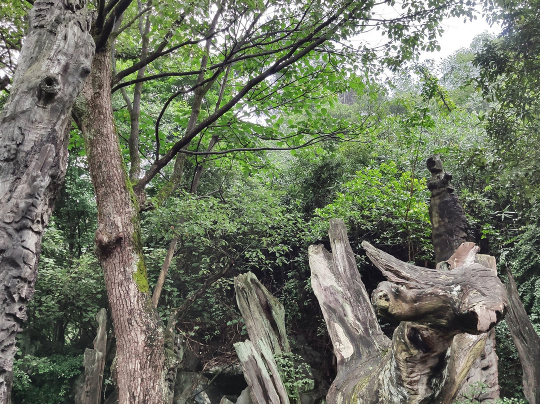 根宫佛国文化旅游景区景点图片
