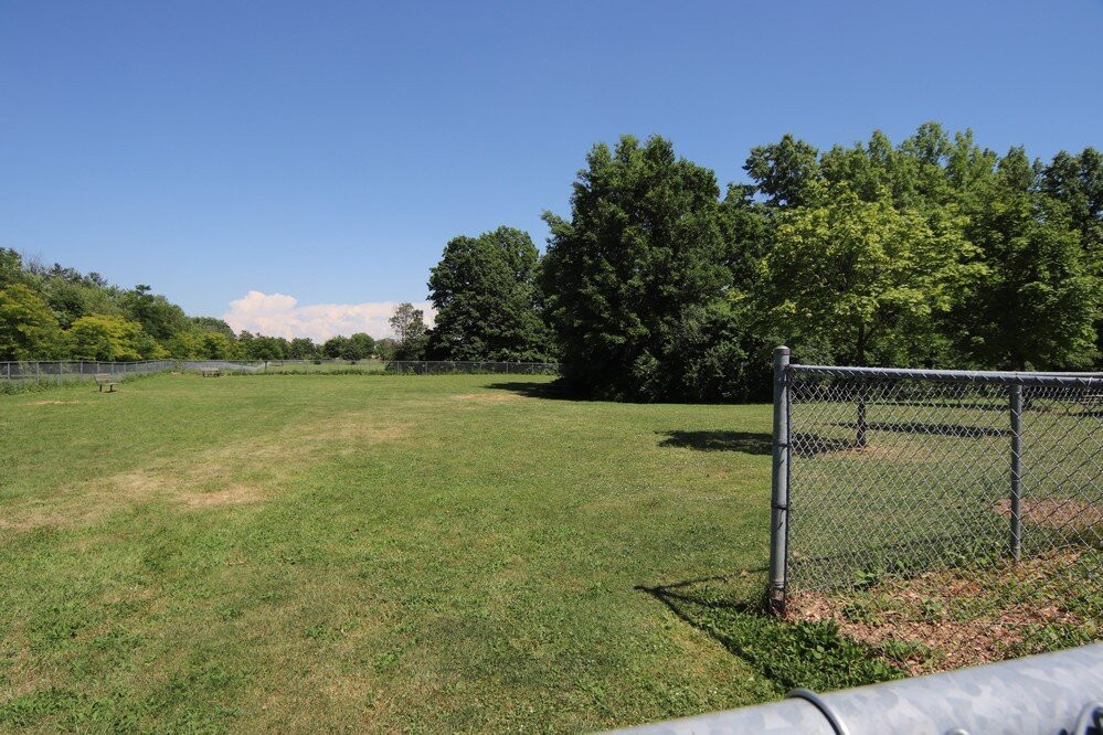 Burgoyne Woods Park-圣凯瑟琳斯必去景点