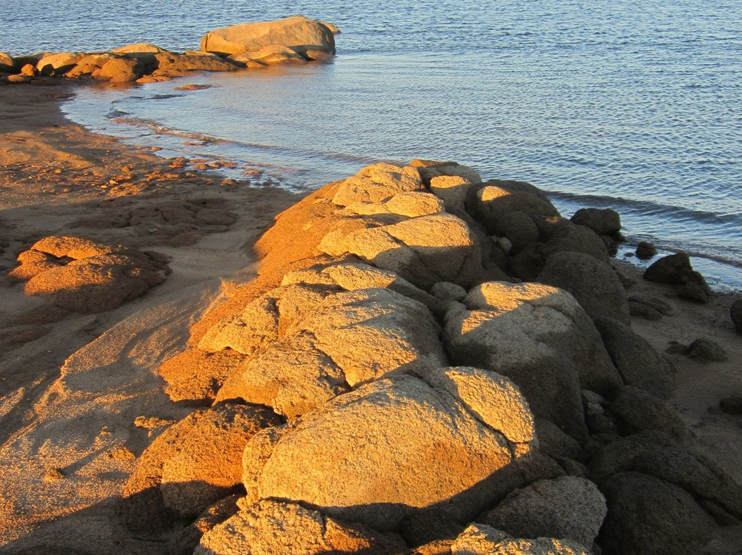 Folsom Lake State Recreation Area景点图片