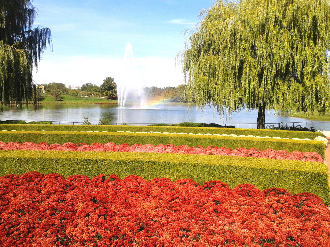 Chicago Botanic Garden景点图片