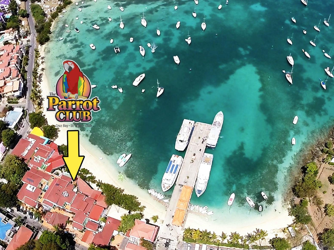The Parrot Club-克鲁兹湾必去景点