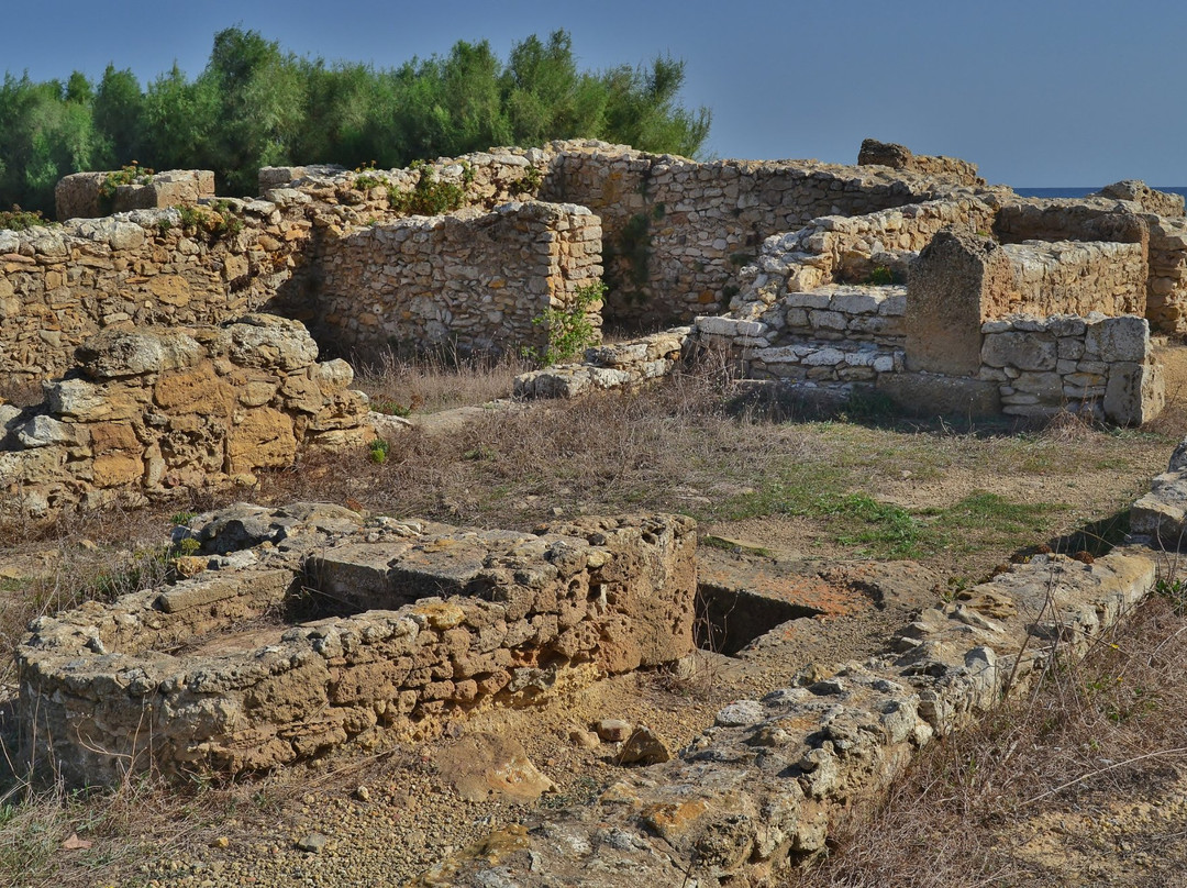 Ruins of Kerkouane景点图片