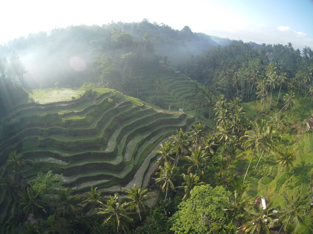 Bali Tourist Information景点图片